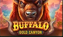Buffalo Gold Canyon