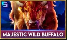 Majestic Wild Buffalo